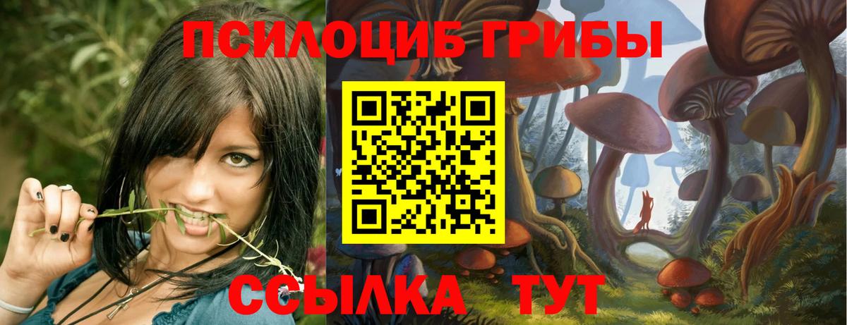 Псилоцибиновые грибы Magic Shrooms Можга